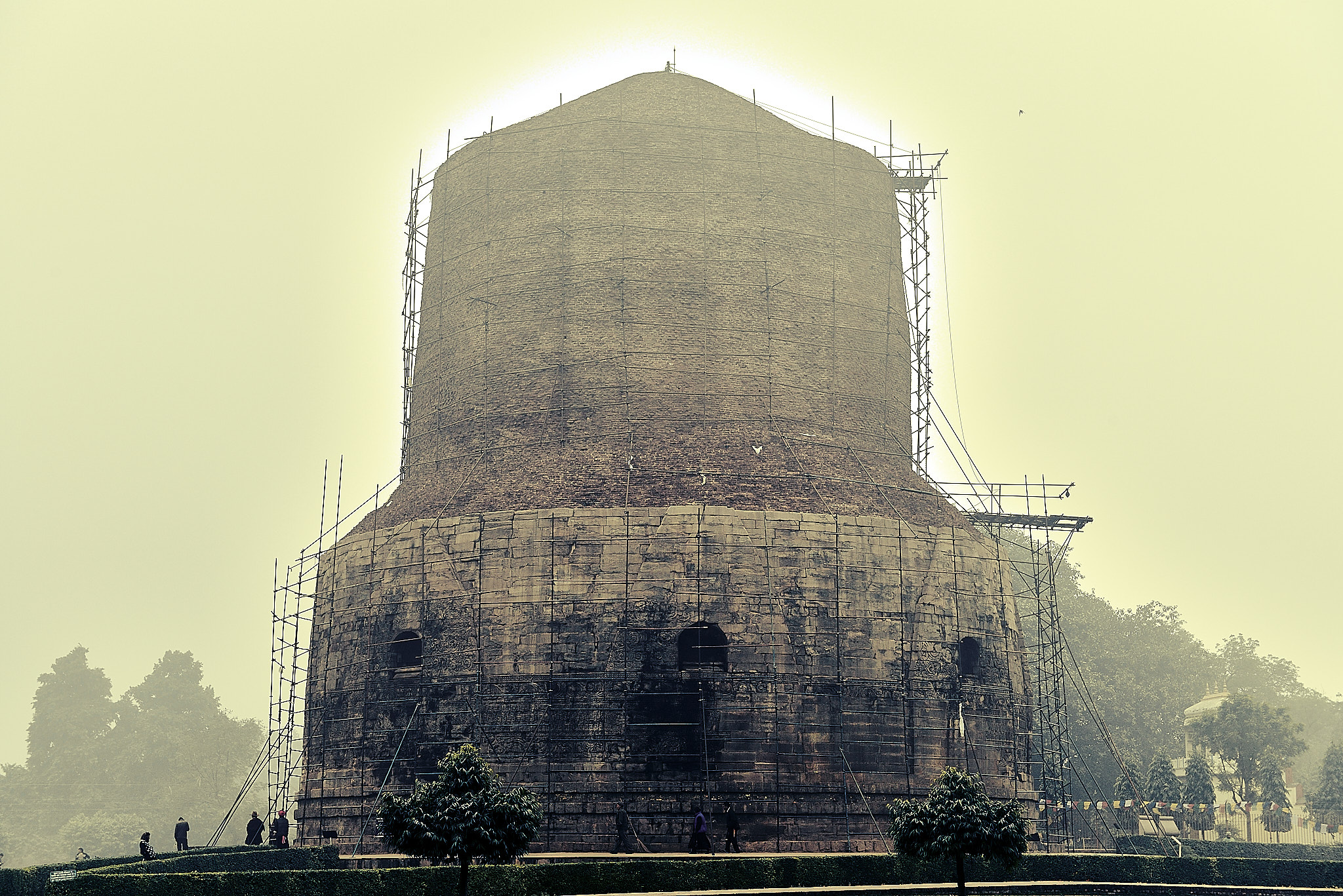 20140109 732 사르나트 다메크 스투파